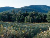 Photo: Catskill mountains