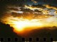Photo: Camera: Sprocket Rocket
Film: Lomo Xpro Chrome 100
Dev: Cross Processing
Place: Sikunir Hill, Wonosobo, Central Java