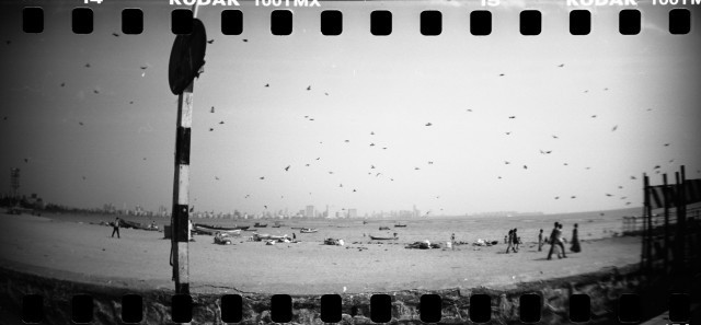 Photo: Mumbai birds