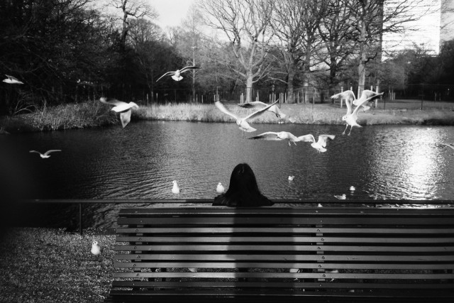 Photo: The Hague. Koekamp.