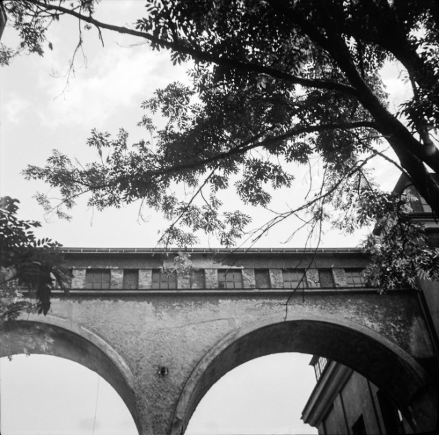 Photo: Agfa Click 2
Fomapan 100 (120)
Fomadon R09
