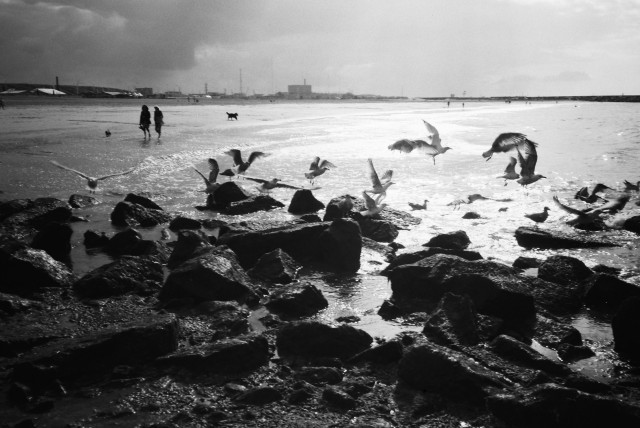 Photo: The Hague. Scheveningen Beach.