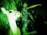 Photo: Deer/Dancing, double exposure of a pet deer and children dancing - taken with a Lomography Diana Mini camera using Lomo Xpro 100 film and color flash gel in green
