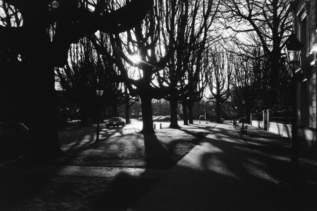 Photo: The Hague. Sophialaan.